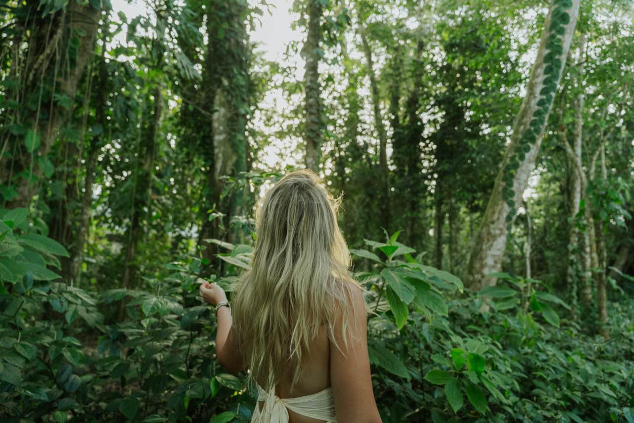 Navigating Infidelity Healing Retreat — Caribbean Coast Costa Rica